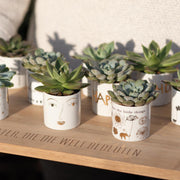 Bright delight happy birthday - LEEF mode en accessoires