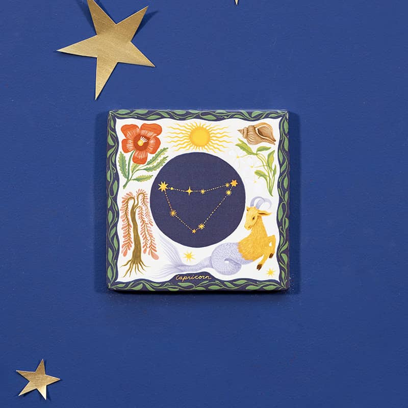 Capricorn 10x10 Steenbok - LEEF mode en accessoires