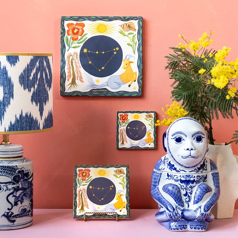 Capricorn 10x10 Steenbok - LEEF mode en accessoires