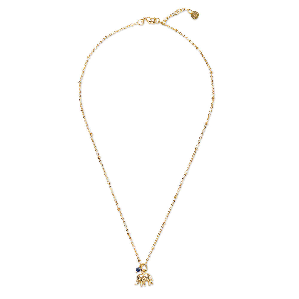 Convinced Lapis Lazuli Necklace Gold PLated Lapis Lazuli - LEEF mode en accessoires