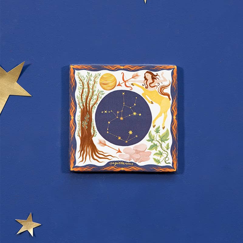 Sagittarius 10x10 Boogschutter - LEEF mode en accessoires