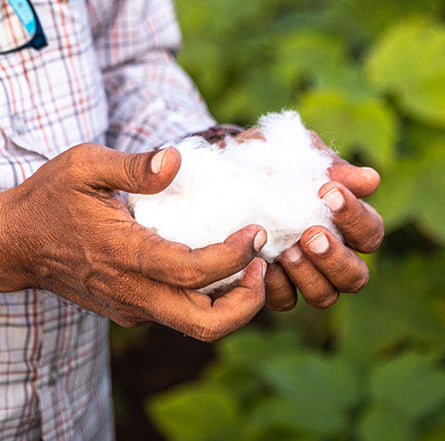 Foto katoen van het Better Cotton Initiative 