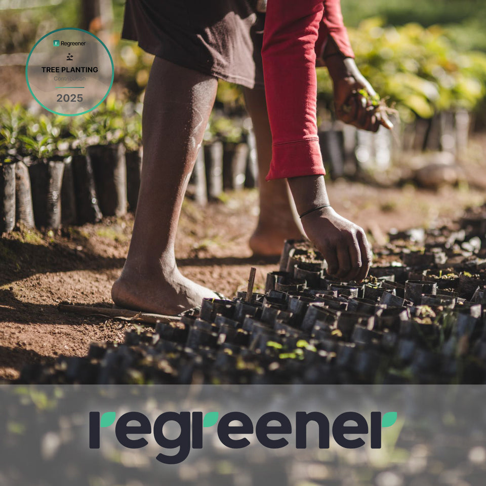 Het planten van jonge bomen als onderdeel van de duurzame Green Friday-samenwerking tussen LEEF en ReGreener