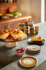 70sceramicssaucersBigSurShell__6