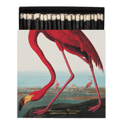 AmericanFlamingoMatches__1