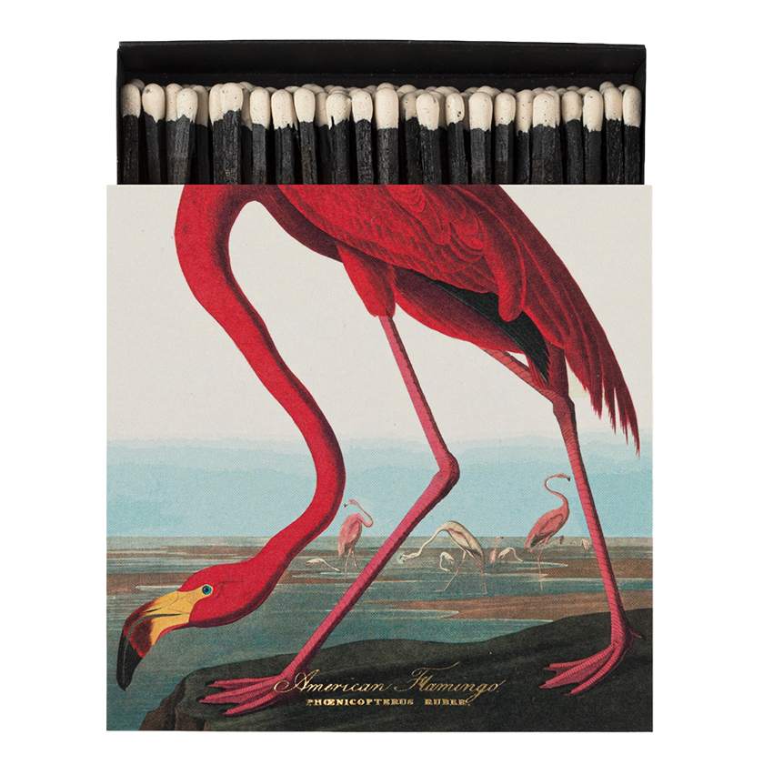 AmericanFlamingoMatches__1