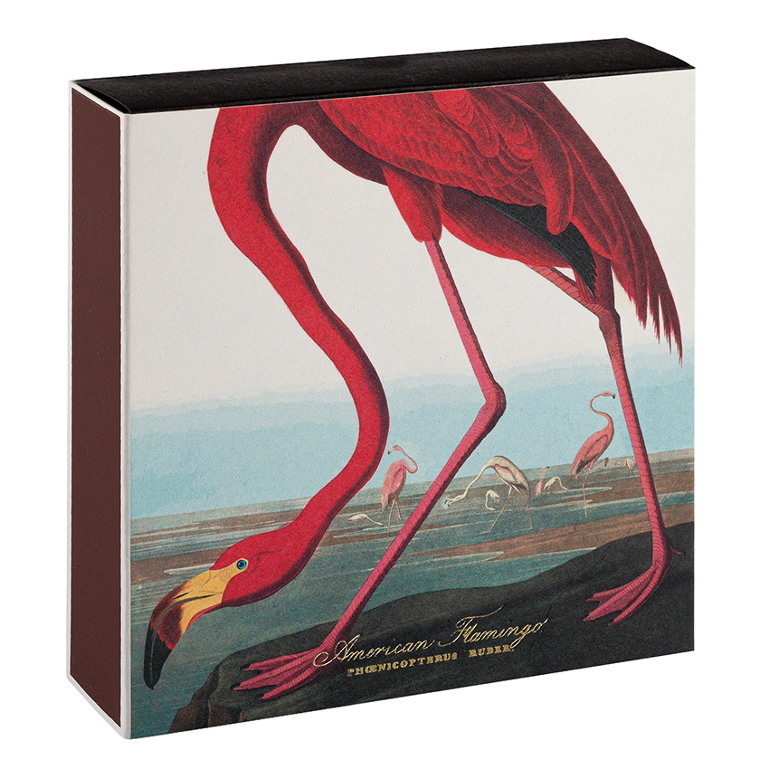 AmericanFlamingoMatches__2