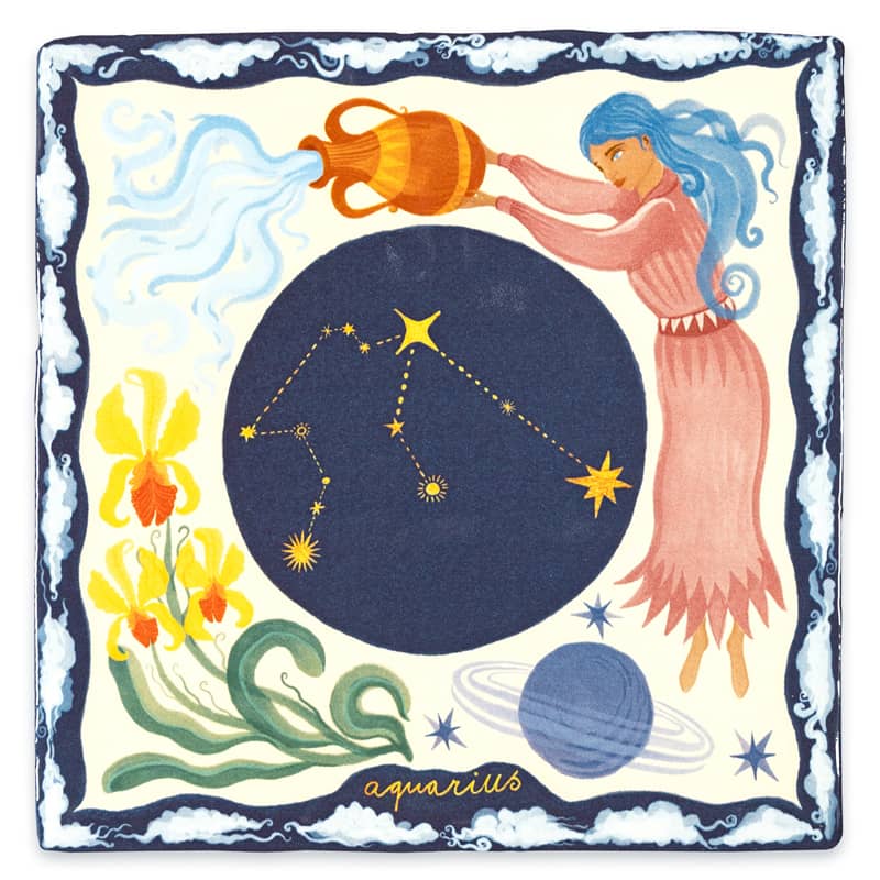 Aquarius 10x10 Waterman - LEEF mode en accessoires