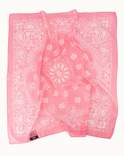 AstridGrootSjaalsPink__3