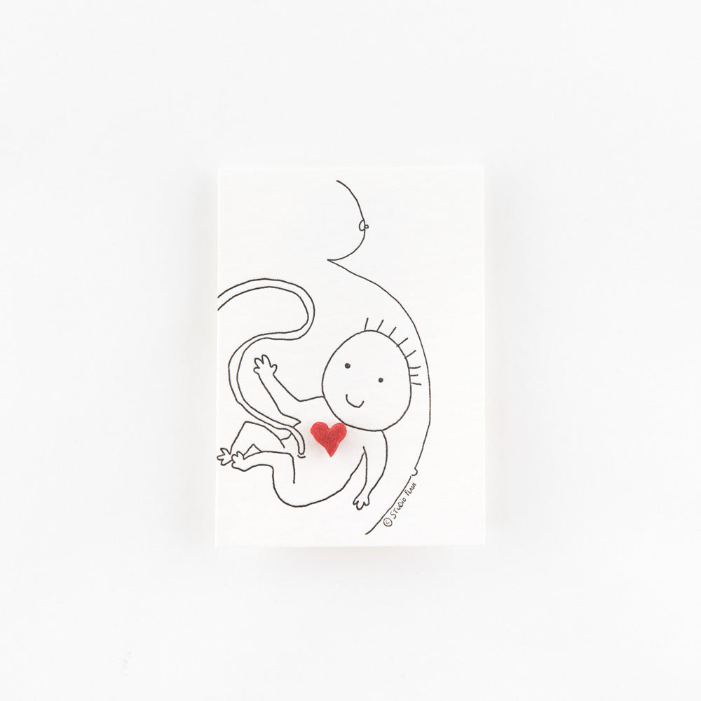 BabyBelly__1