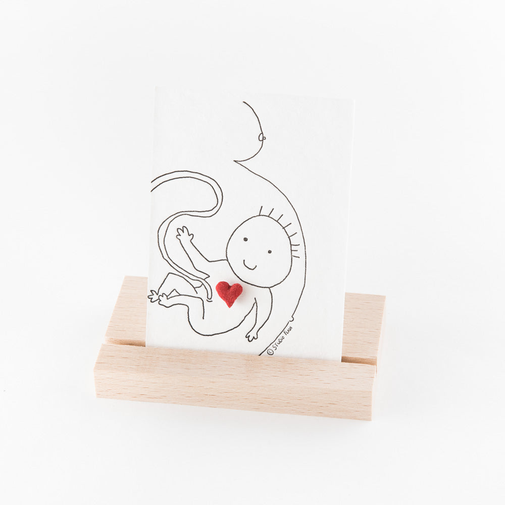 BabyBelly__3