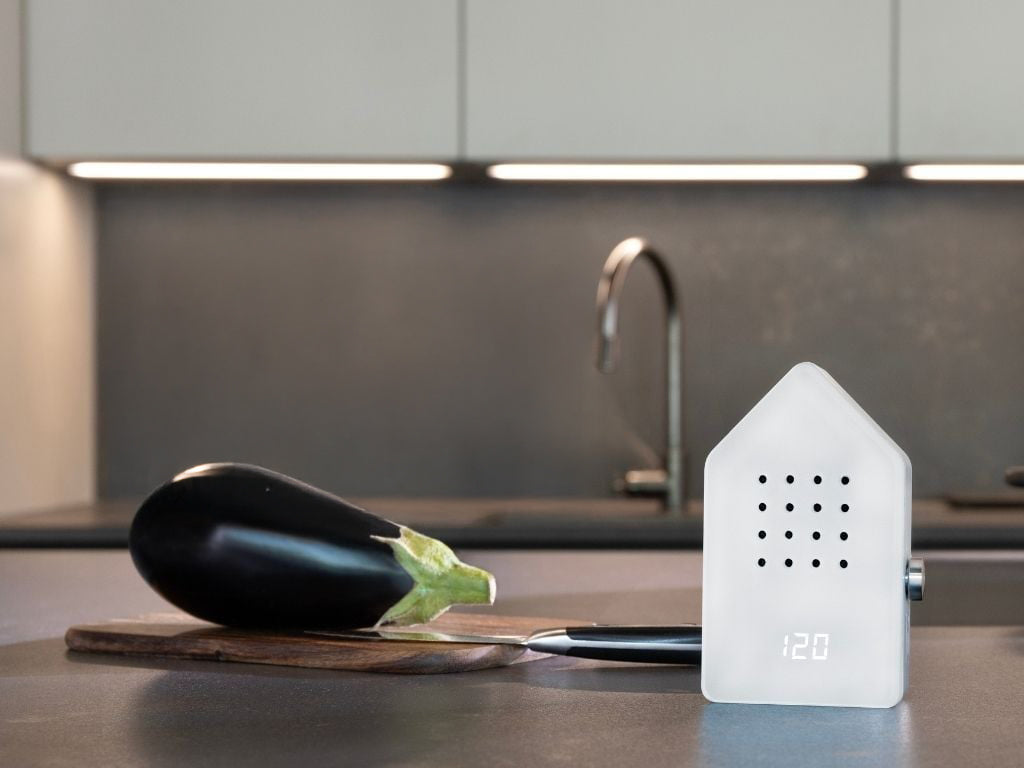 Birdytimer White White