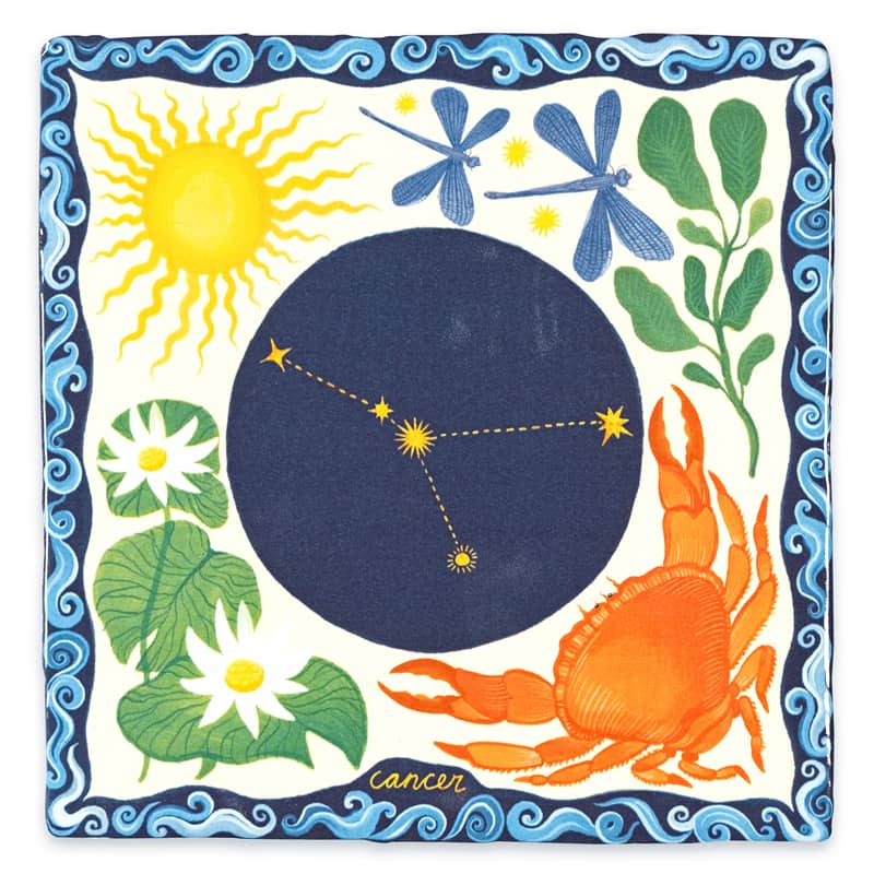 Cancer 10x10 Kreeft - LEEF mode en accessoires