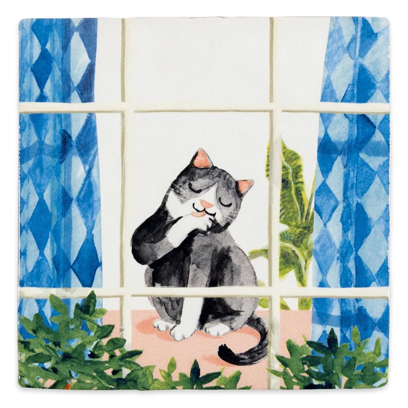 Cosycat(10x10cm)__1