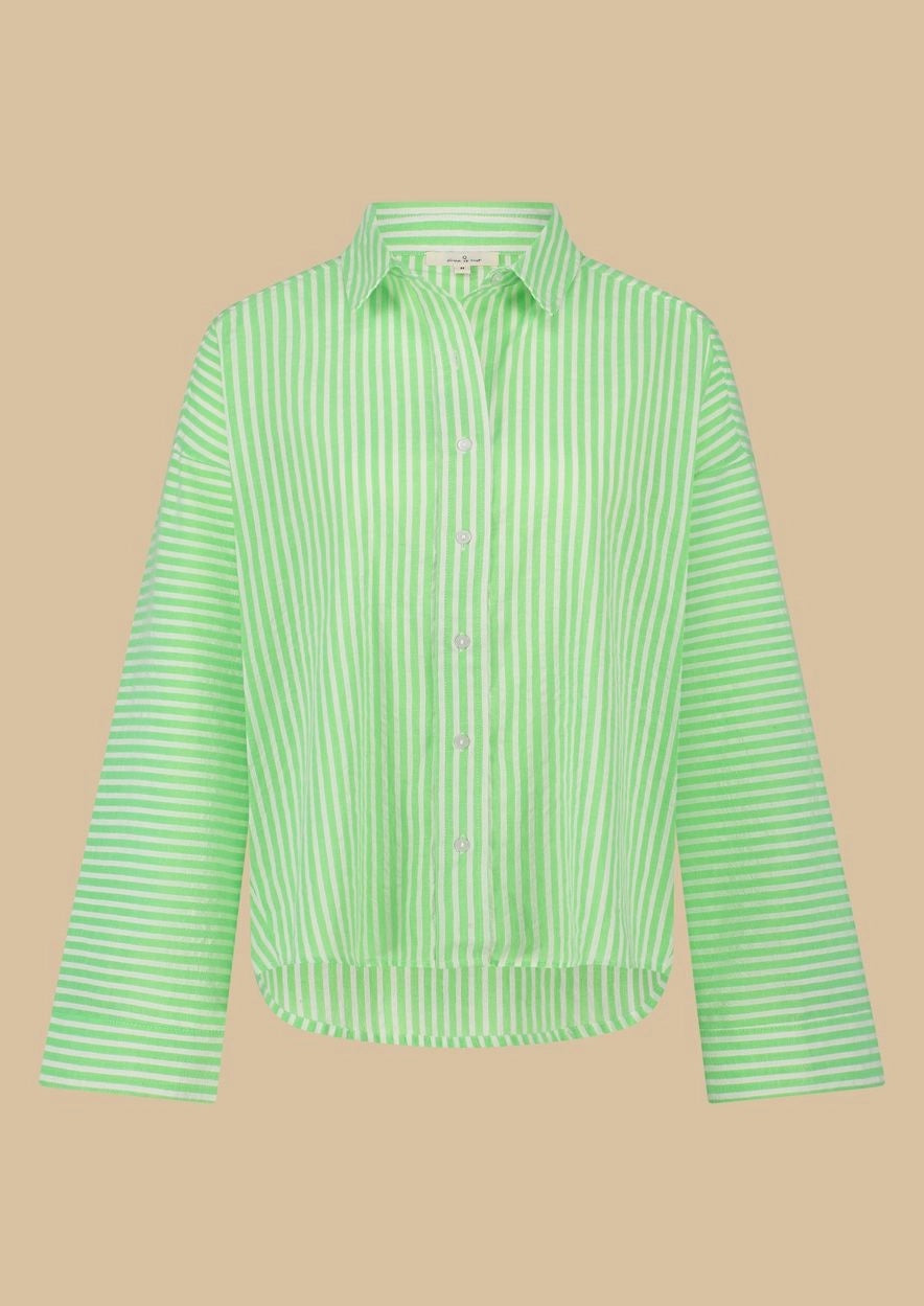 DIONNE BLOUSE 5547 Crazy Green Stripe - LEEF mode en accessoires