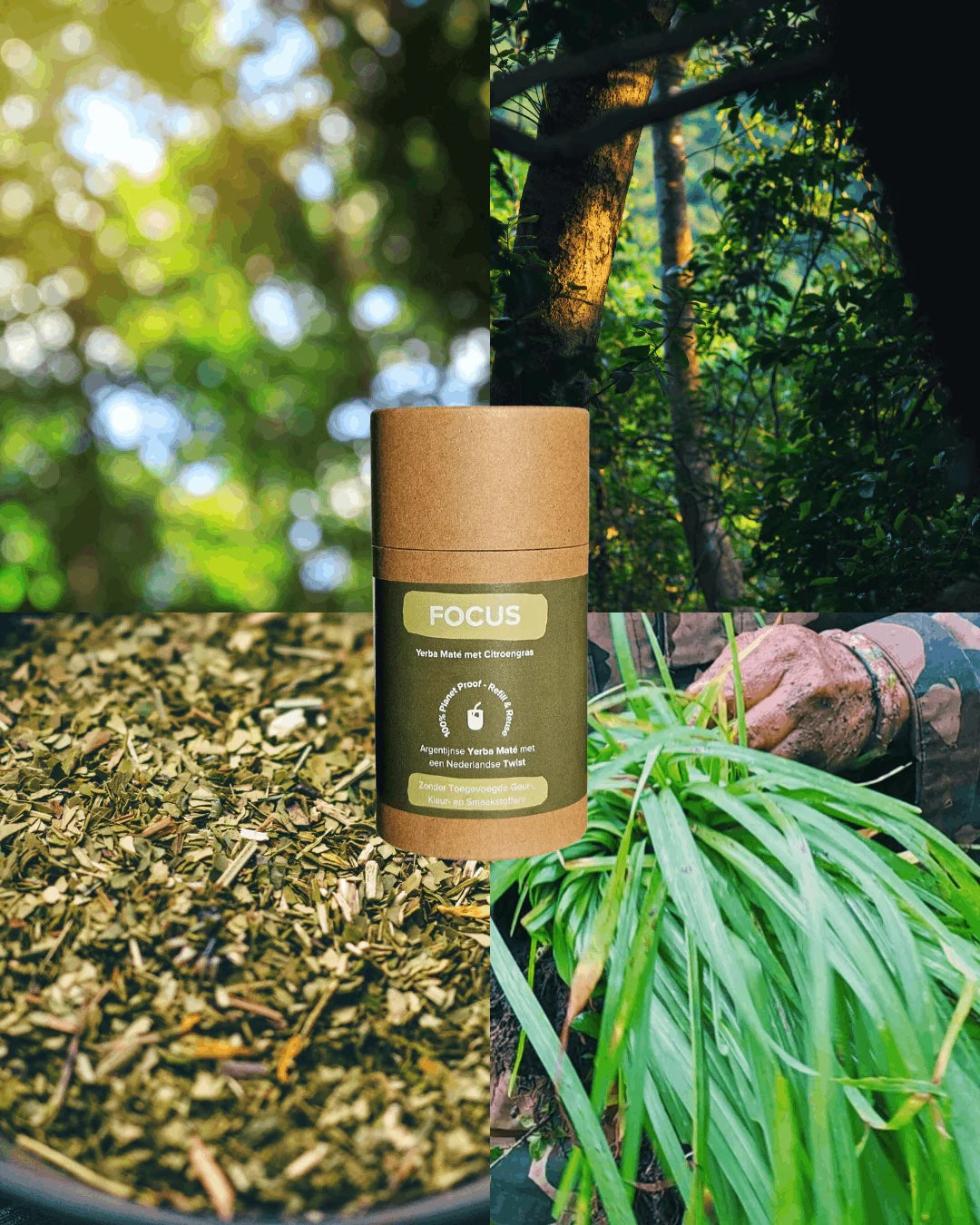 FOCUS60grkokerFOCUS__5