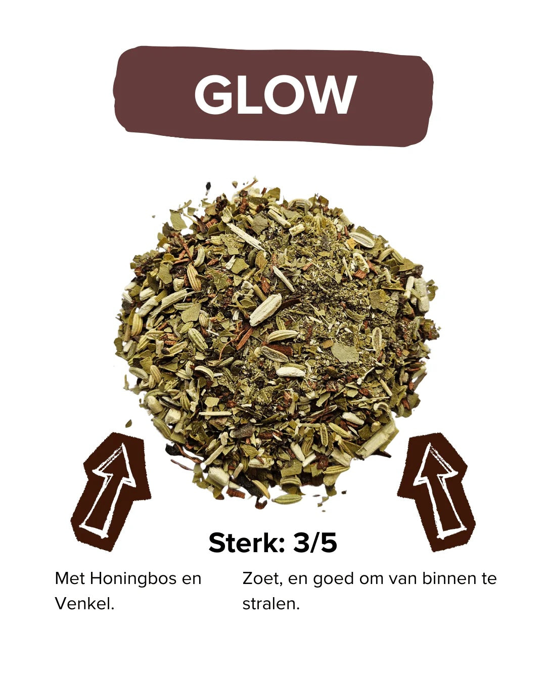 GLOW60grkokerGLOW__3