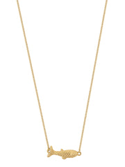 GOUDENVISKETTINGgoud__1