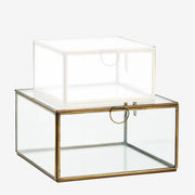 GlassBoxesGrootClear__1