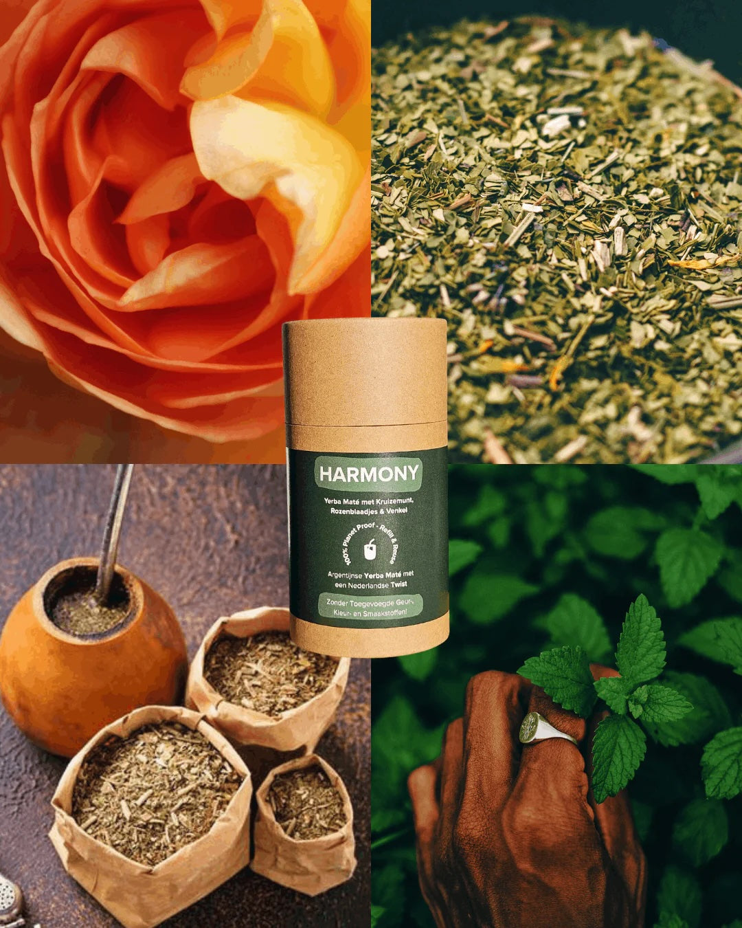 HARMONY60grkokerHARMONY__5