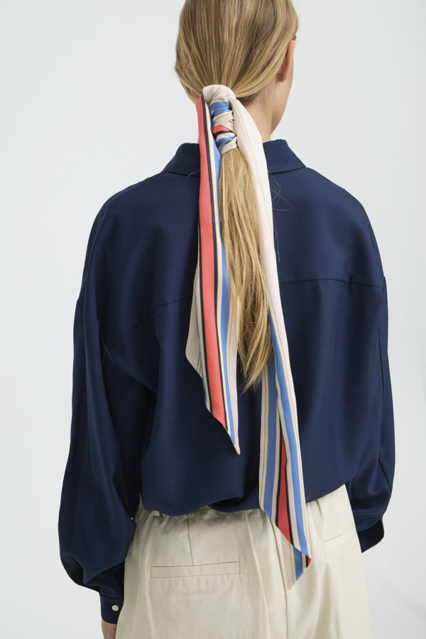 IABIDASC130905Birch__1