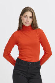 IHMAFARN181664FieryRed__1