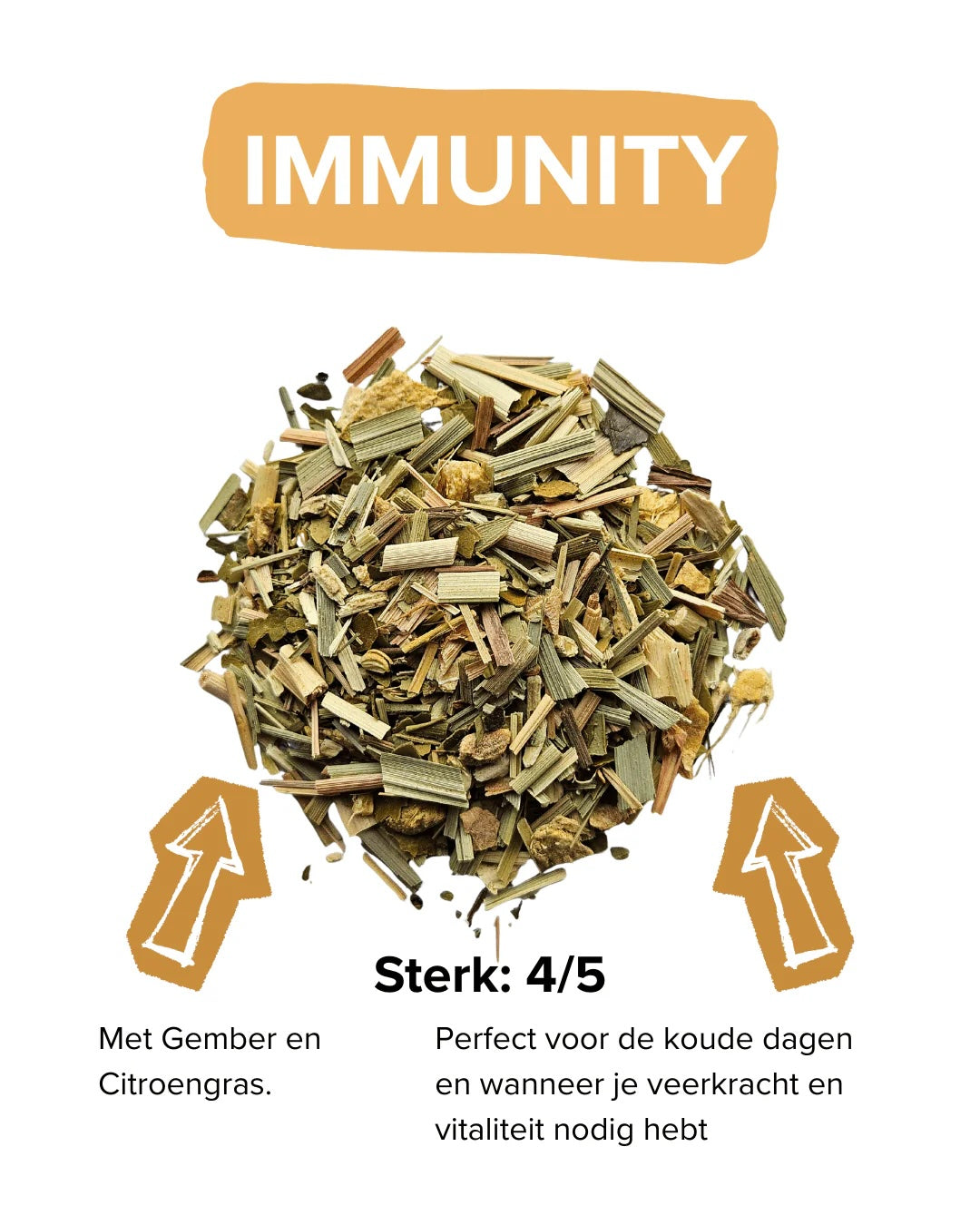 IMMUNITY60grkokerIMMUNITY__3