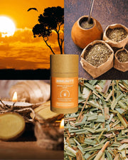 IMMUNITY60grkokerIMMUNITY__5