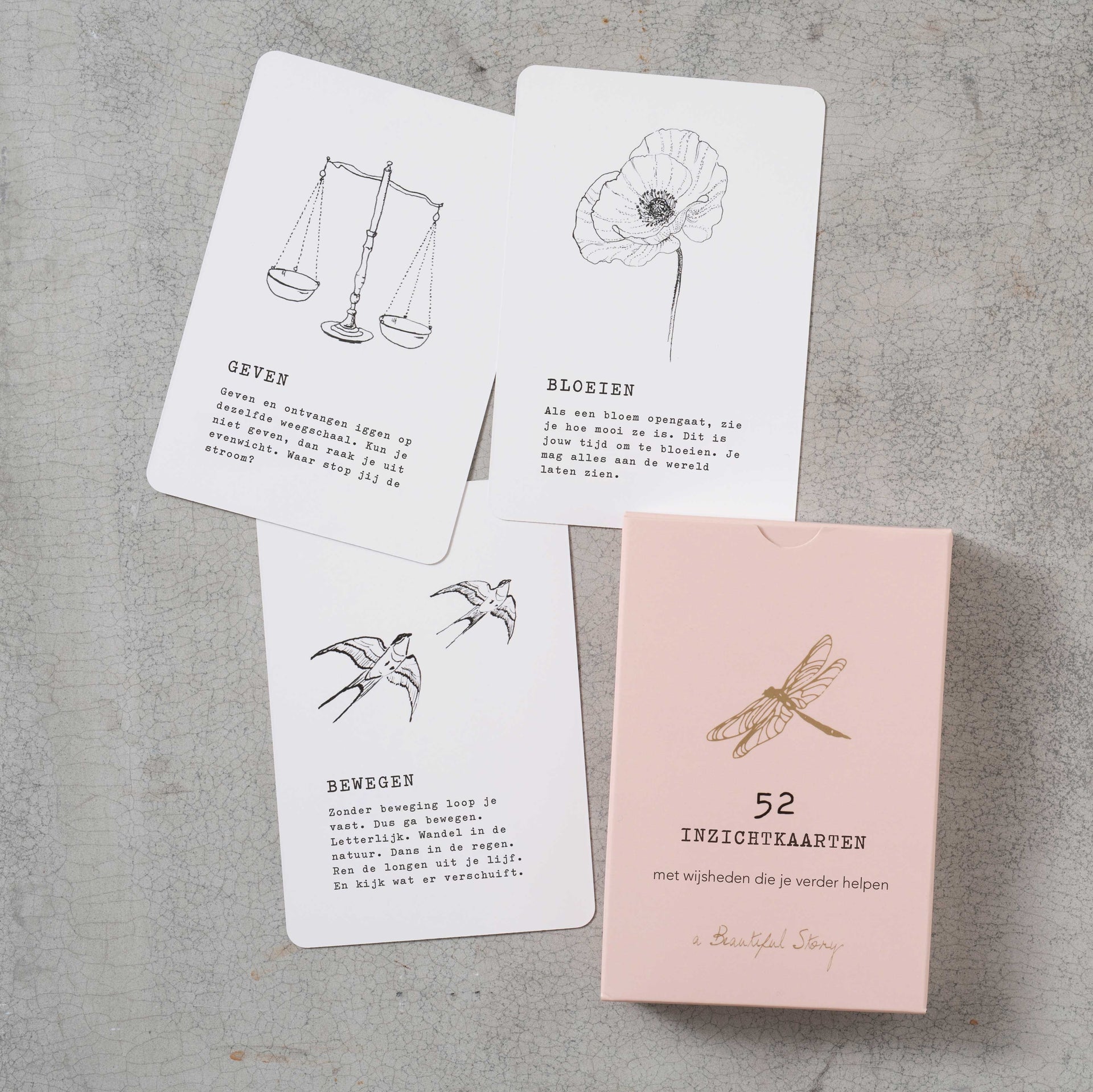 Inzichtkaarten__3