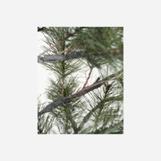 KerstboommetLED-lampjes(Hoog180cm)__4
