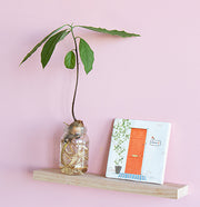 Knock knock who's there 10x10cm - LEEF mode en accessoires