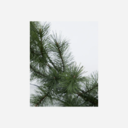 KransmetLED-lichtjes(45cm)__3