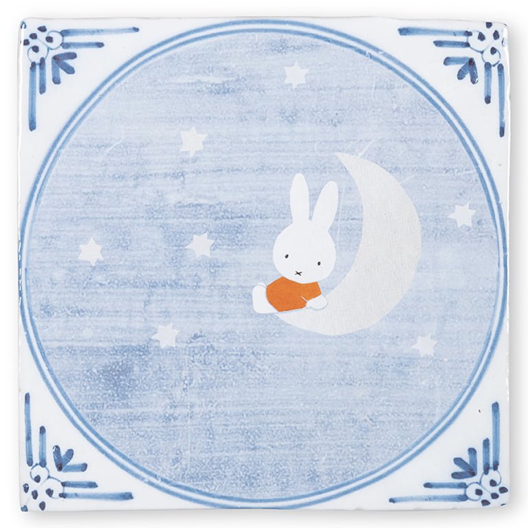 Miffyonthemoon10x10__1