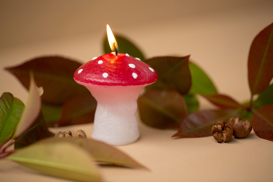 Mushroom 6.5x7.3cm