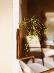 Muurbloempjes1-packAmber__2