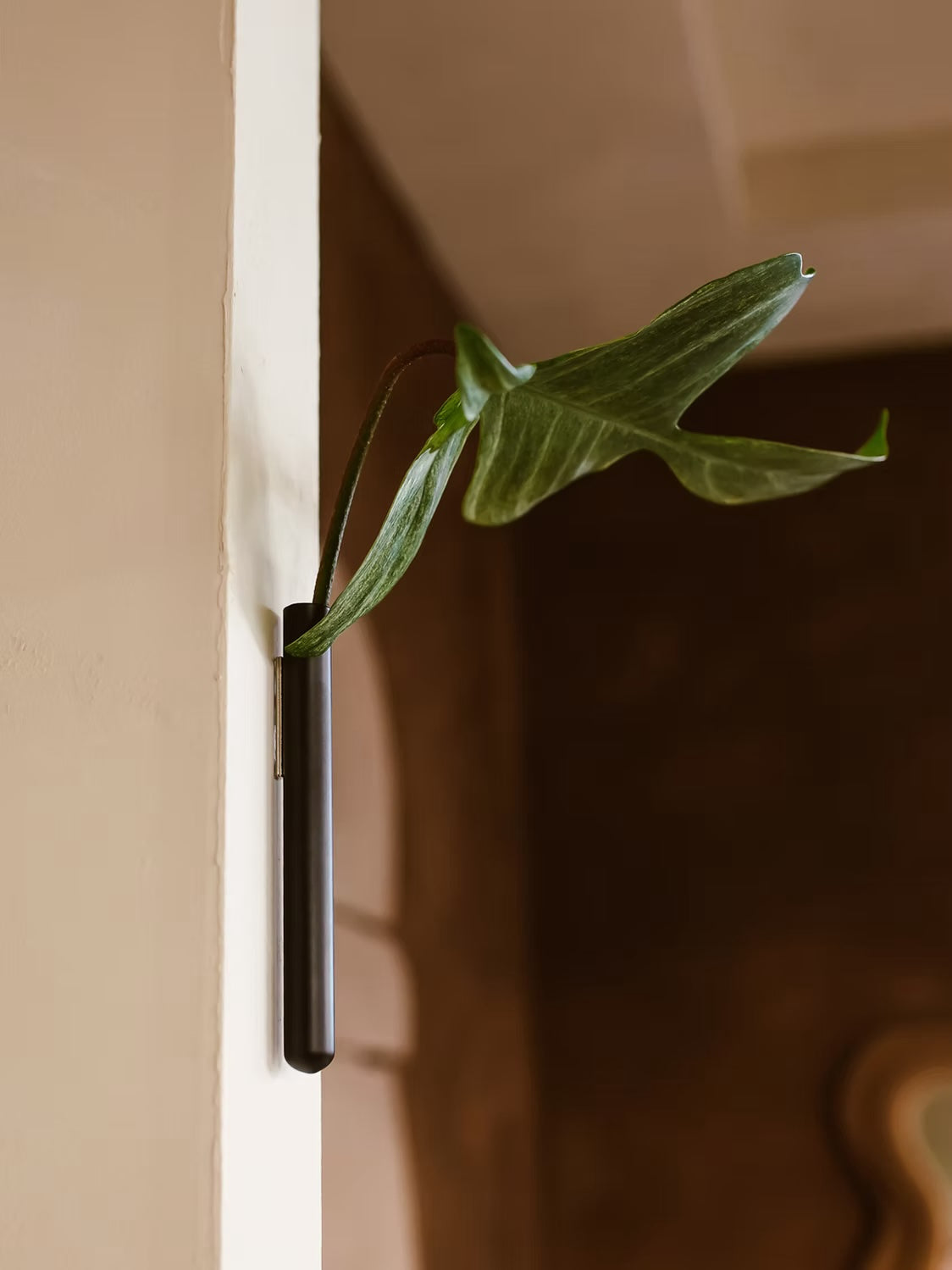 Muurbloempjes1-packBlack__2