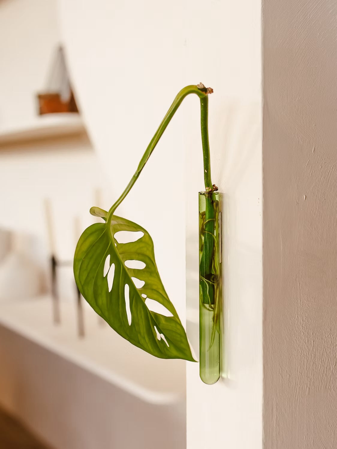 Muurbloempjes1-packGreen__1