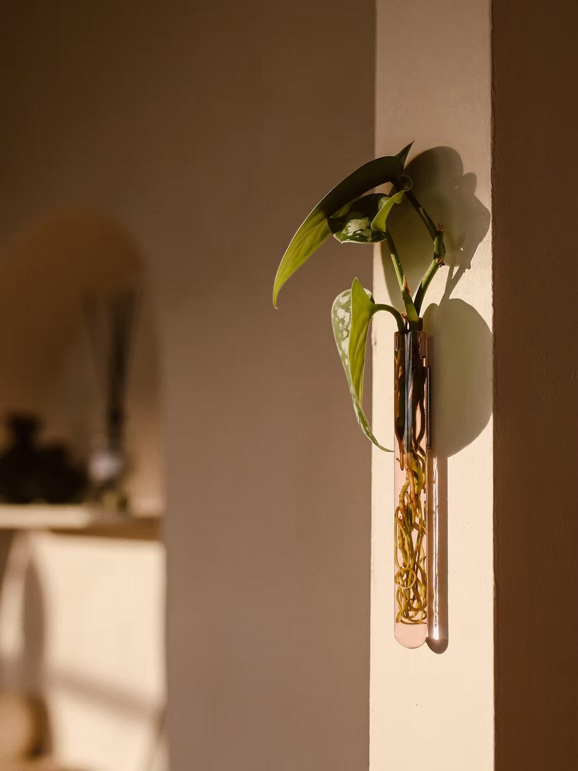 Muurbloempjes1-packPink__2