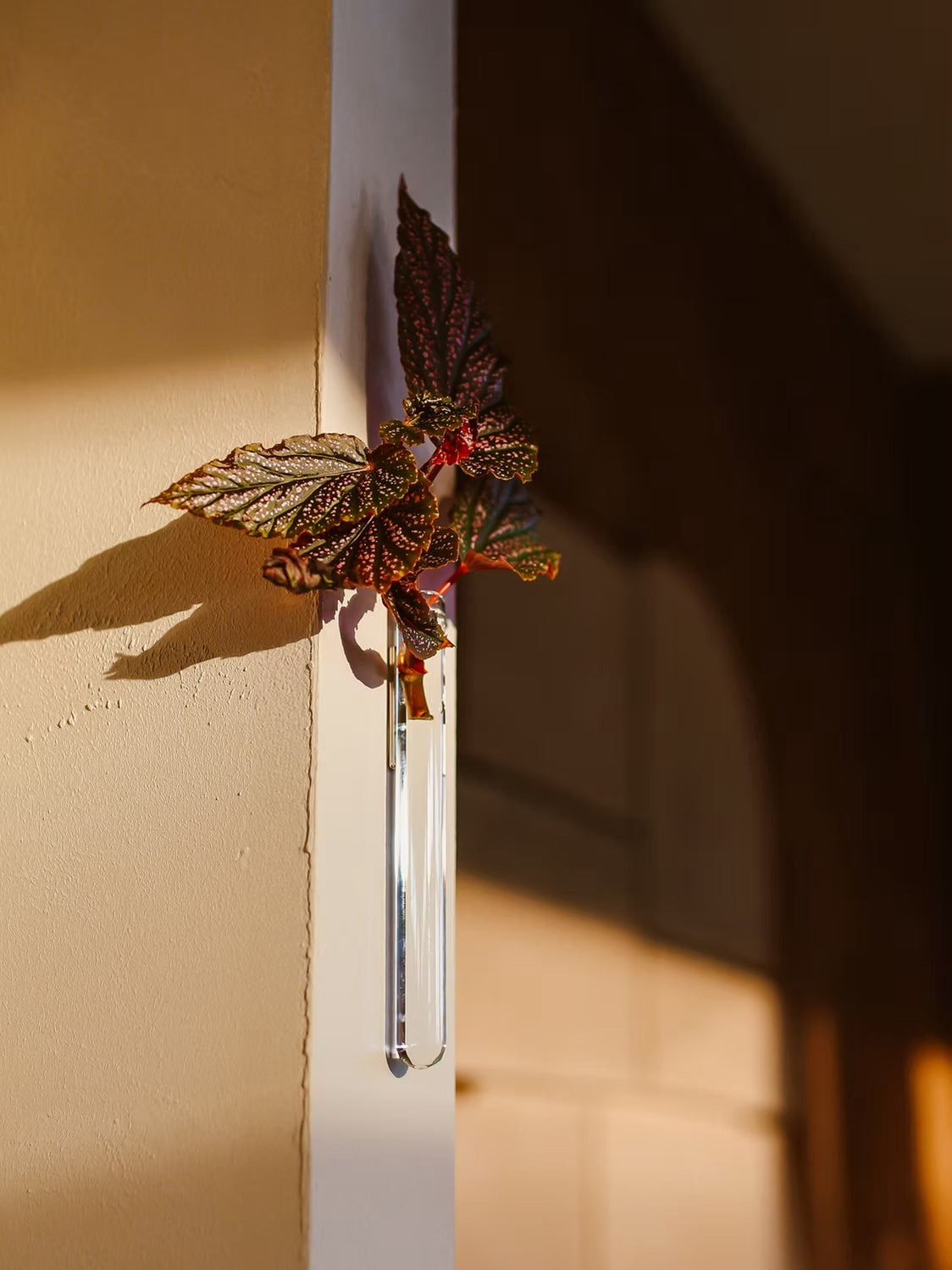 Muurbloempjes1-packTransparant__2