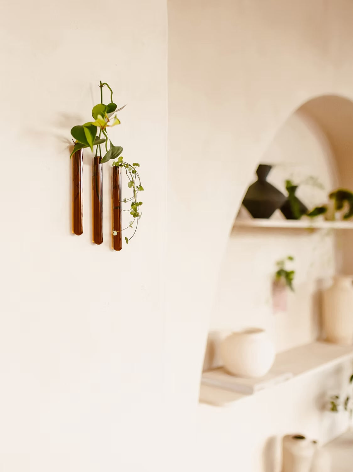 Muurbloempjes3-packAmber__2