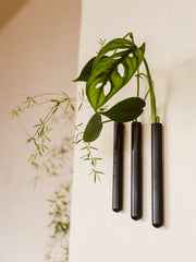 Muurbloempjes3-packBlack__1