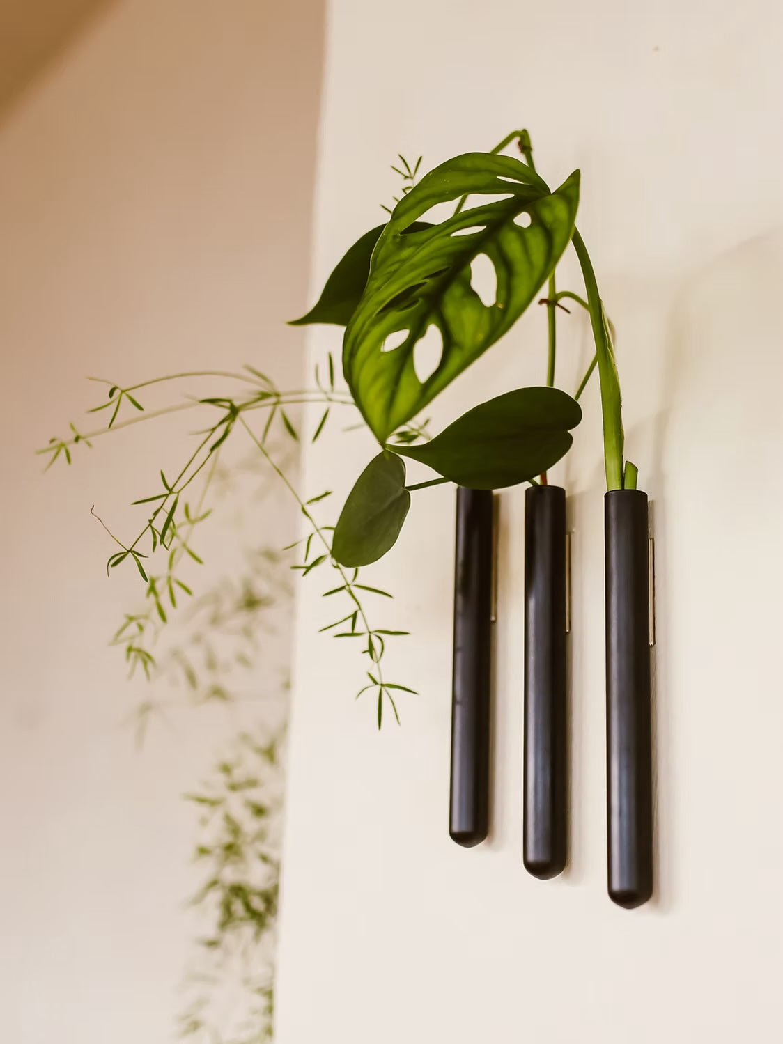 Muurbloempjes3-packBlack__1