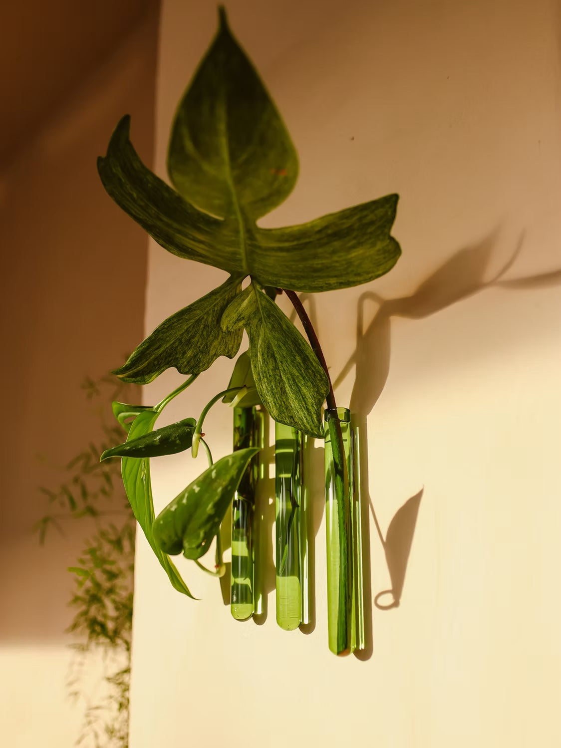 Muurbloempjes3-packGreen__1