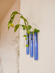 Muurbloempjes3-packLightBlue__1