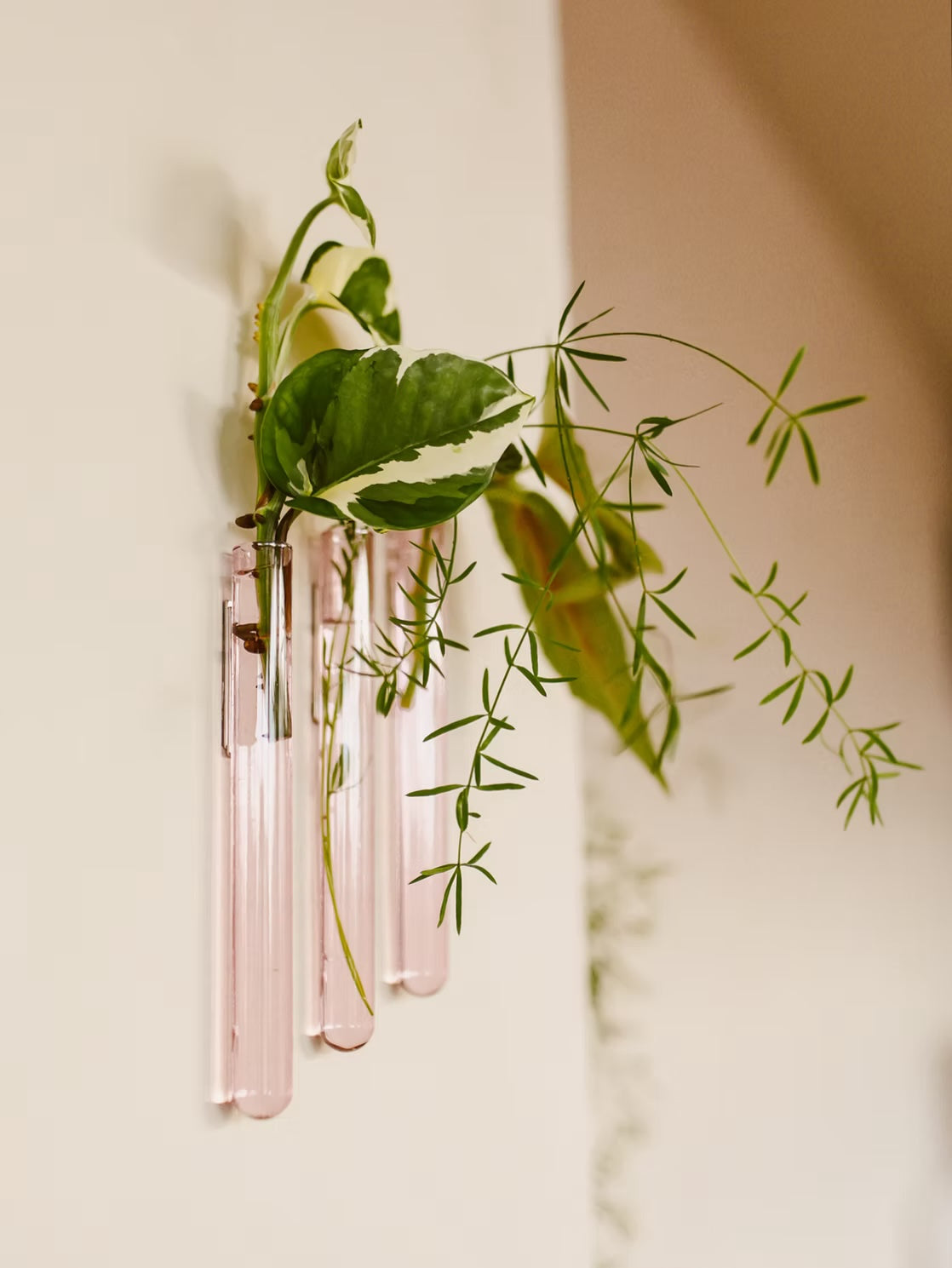 Muurbloempjes3-packPink__1