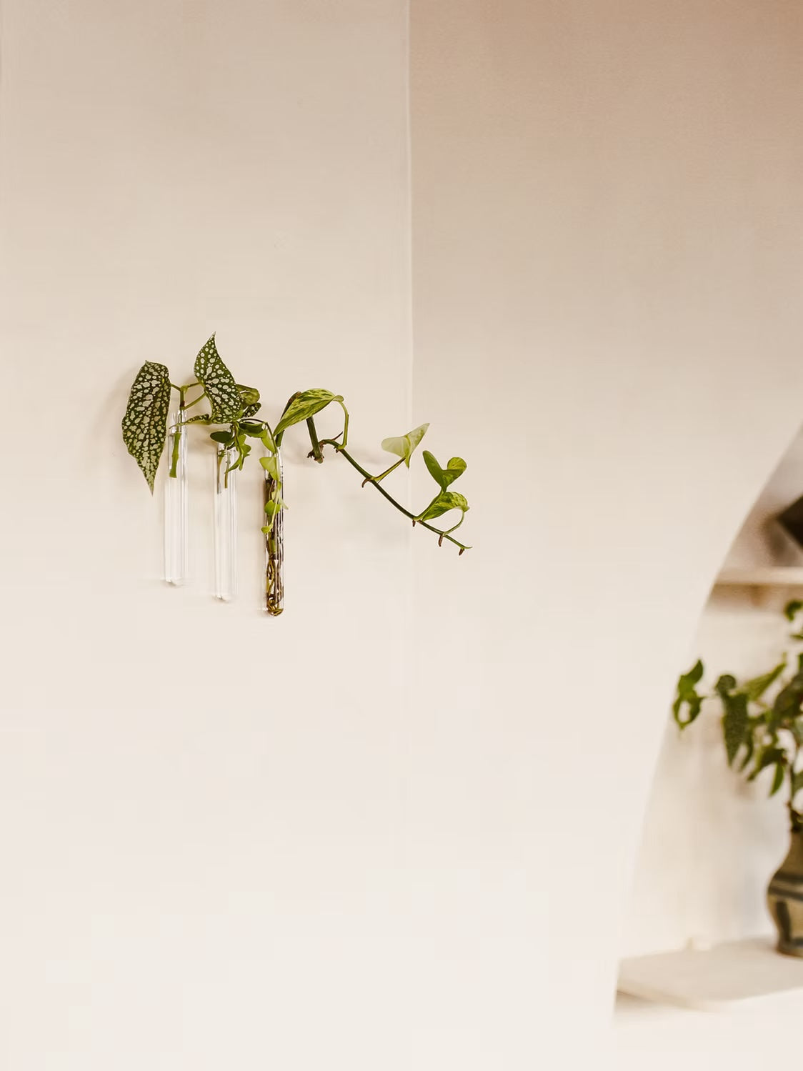 Muurbloempjes3-packTransparant__2