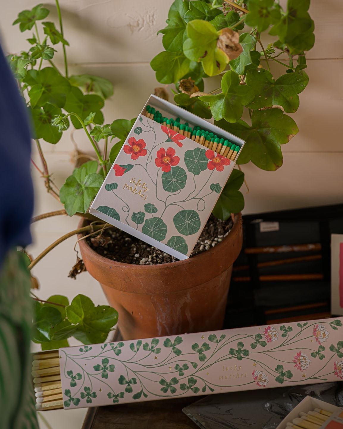 NasturtiumMatches__4