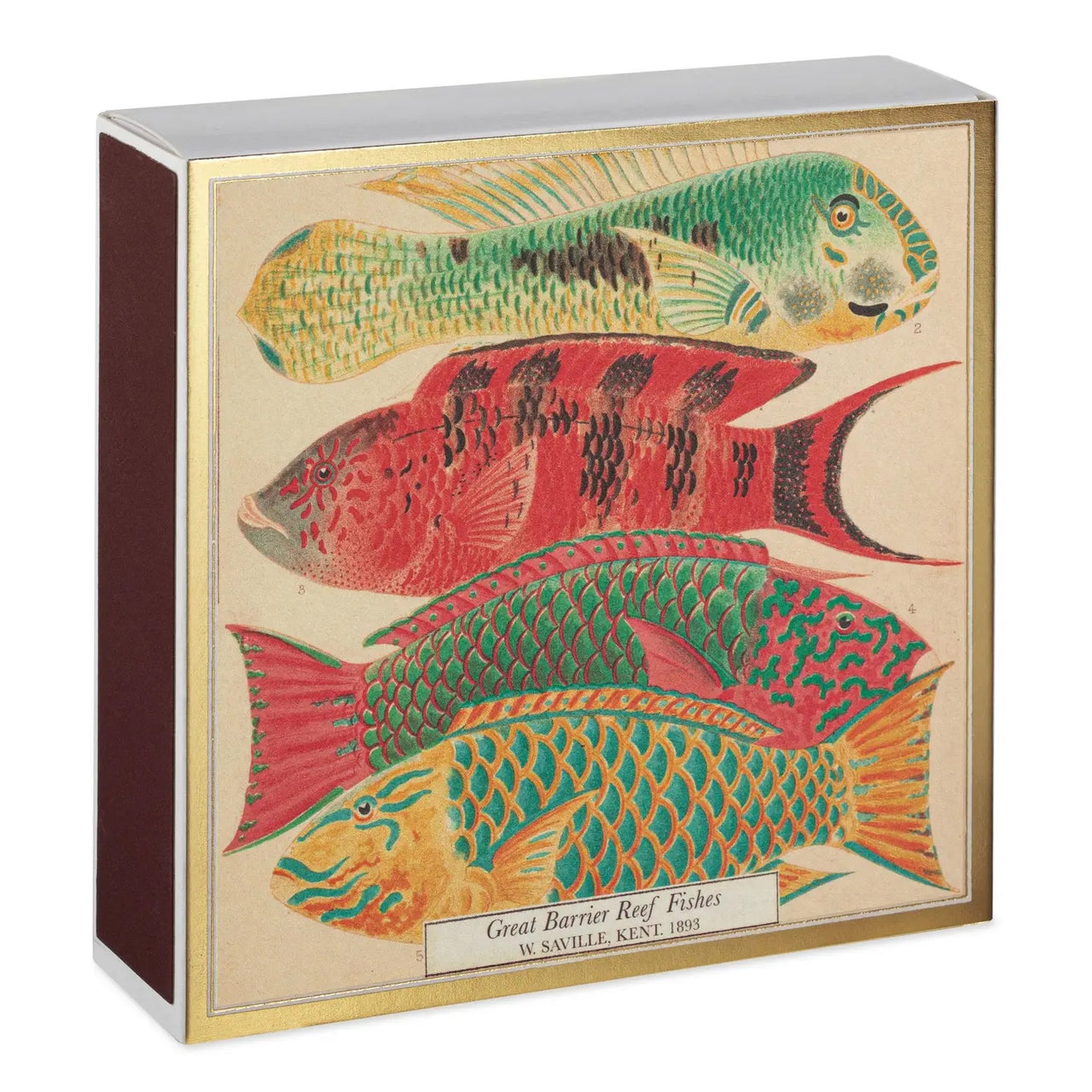 Natural History Museum Fish, Safety Matches - LEEF mode en accessoires