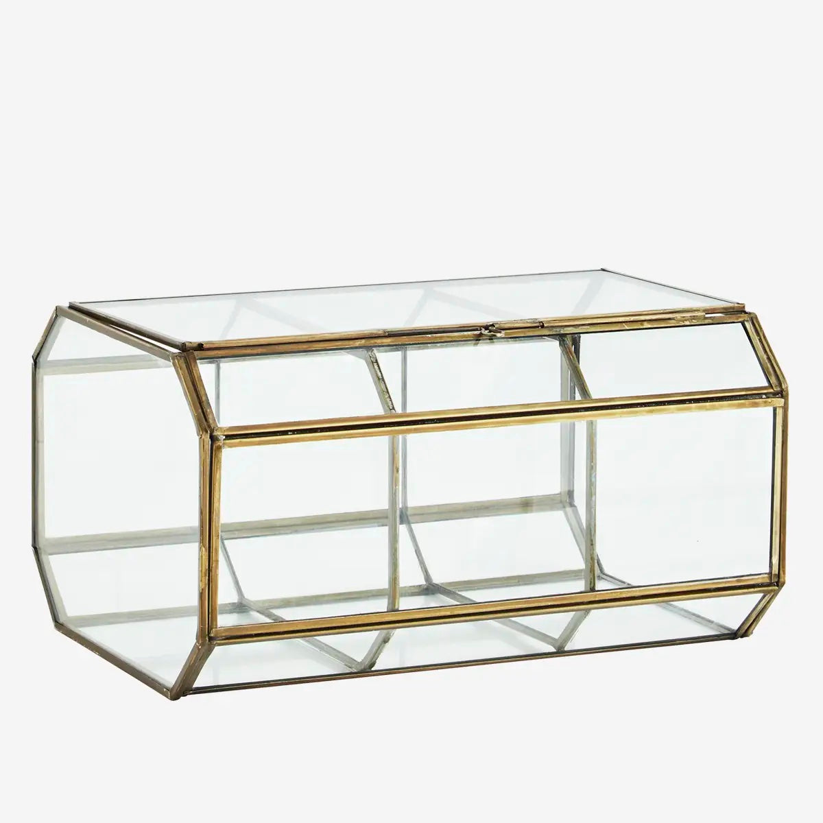 PartitionedGlassBoxClear__1