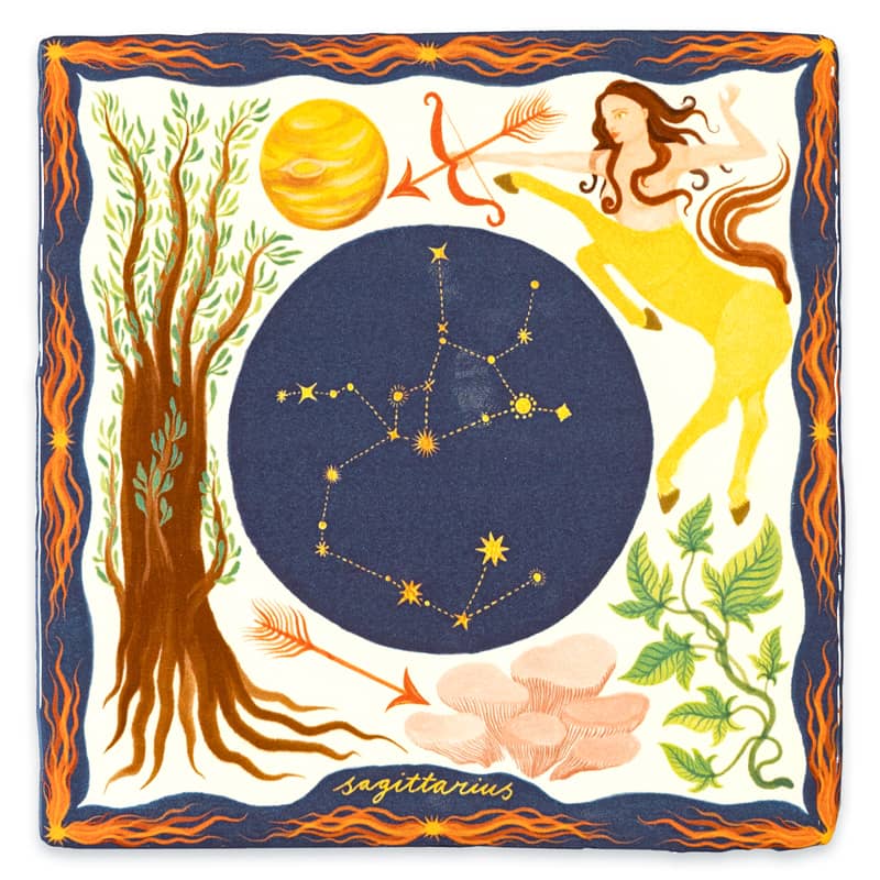 Sagittarius 10x10 Boogschutter - LEEF mode en accessoires